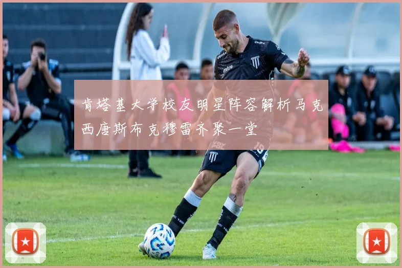 肯塔基大学校友明星阵容解析马克西唐斯布克穆雷齐聚一堂