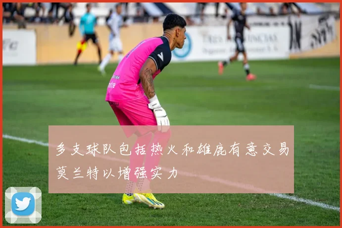 多支球队包括热火和雄鹿有意交易莫兰特以增强实力